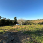 Sítio à venda com 3 quartos, sendo 1 suíte,  em Canta Galo, Itapetininga, SP