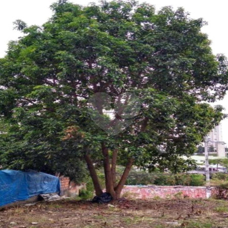 Terreno à venda em Jardim Cambara, São Paulo, SP