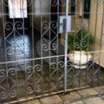 Sobrado à venda com 3 quartos, sendo 1 suíte,  em Tucuruvi, São Paulo, SP