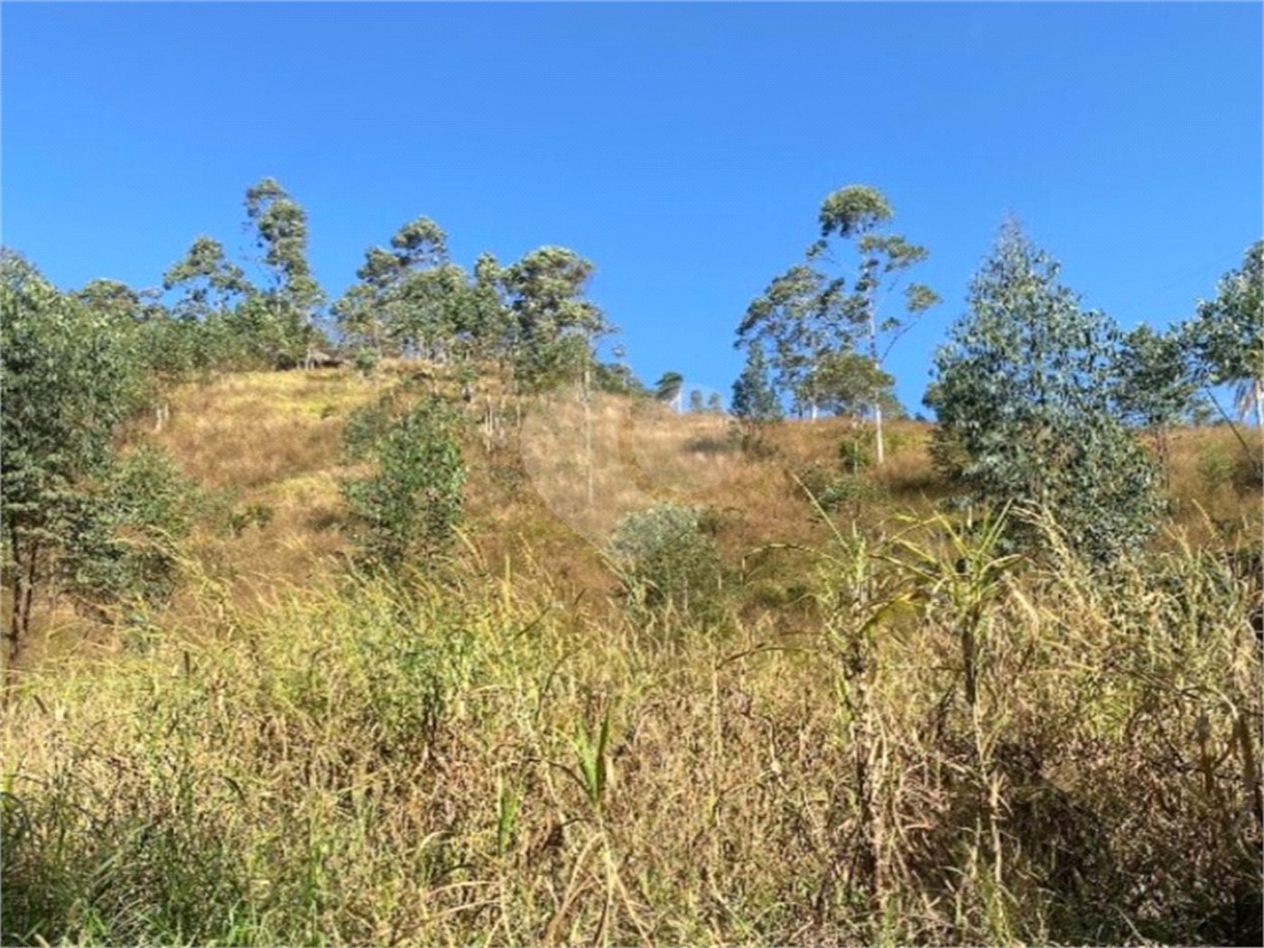 Terreno à venda em Caete (mailasqui), São Roque, SP