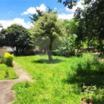 Terreno à venda com 3 quartos, sendo 1 suíte, em Vila Mazzei, São Paulo, SP