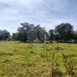 Terreno à venda em Campestre, Piracicaba, SP