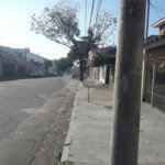 Sobrado à venda com 3 quartos, sendo 1 suíte, em Parque Novo Mundo, São Paulo, SP