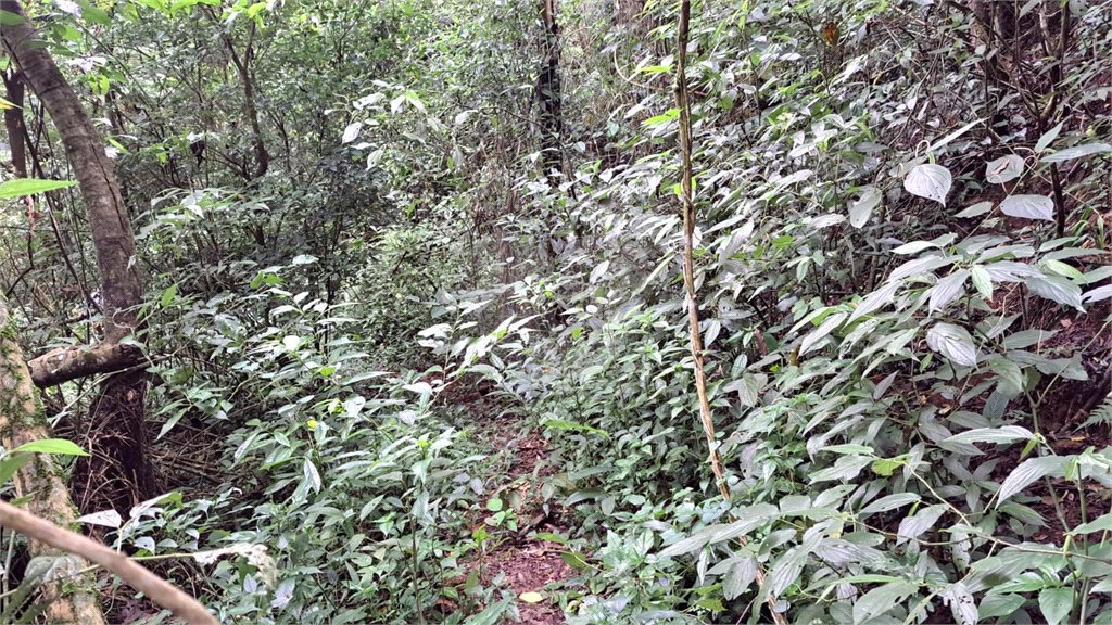 Terreno à venda em Serra da Cantareira, Mairiporã, SP