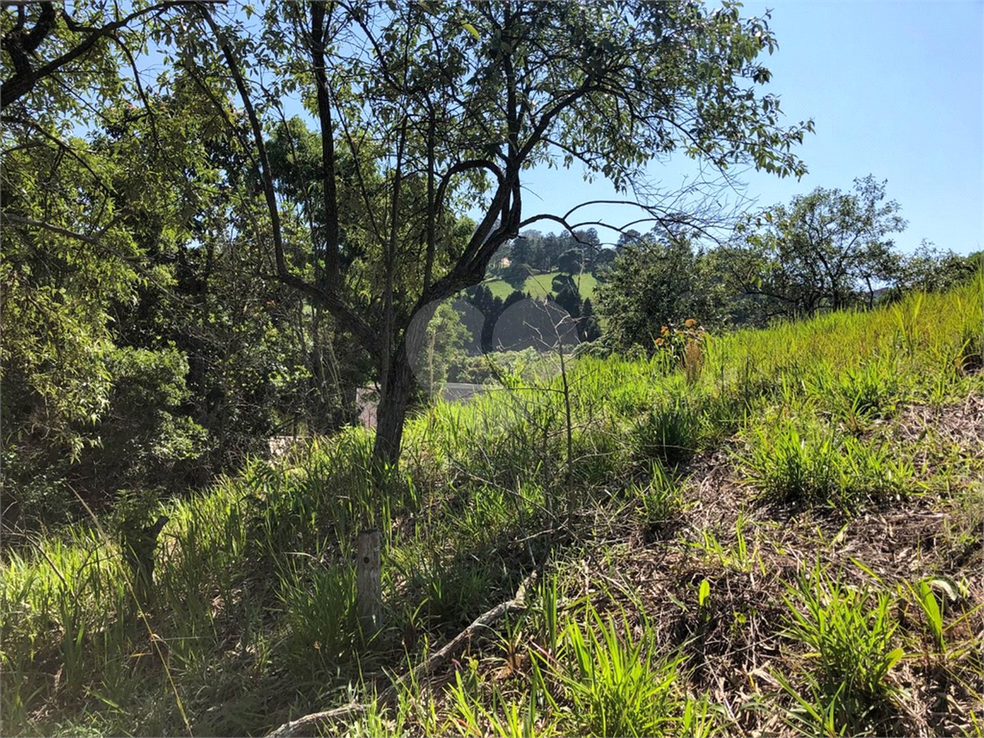 Terreno à venda em Bairro do Cambará, São Roque, SP