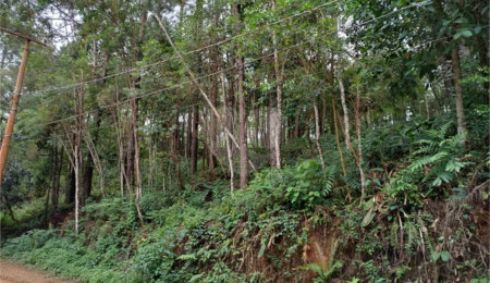 Terreno à venda no Centro (mailasqui), São Roque, SP