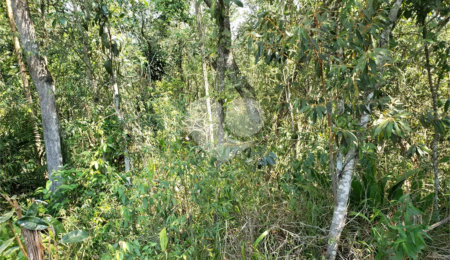 Terreno à venda no condomínio Cantareira, Mairiporã - SP
