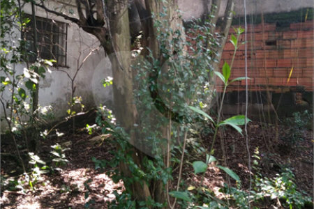 Casa Térrea à venda com 3 quartos em Vila Lúcia, São Paulo, SP