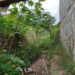 Terreno à venda em Chora Menino, São Paulo, SP