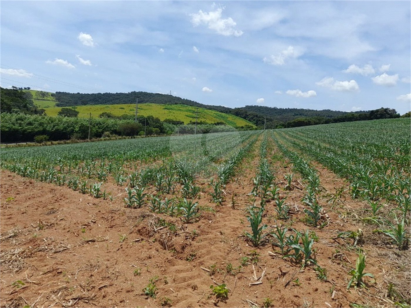 Área de Terra à venda em Paraíso das Aves, Itatiba, SP