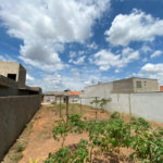 Terreno com 250,00 m² de área total.