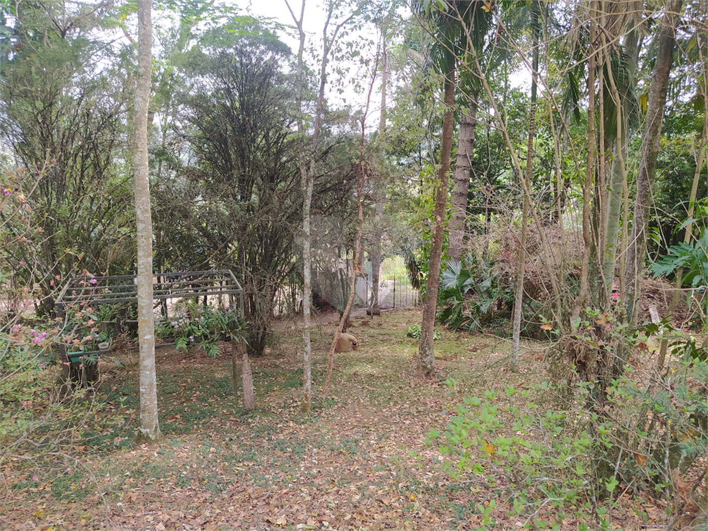 Chácara à venda com 5 quartos, sendo 1 suíte, no Centro (mailasqui), São Roque, SP