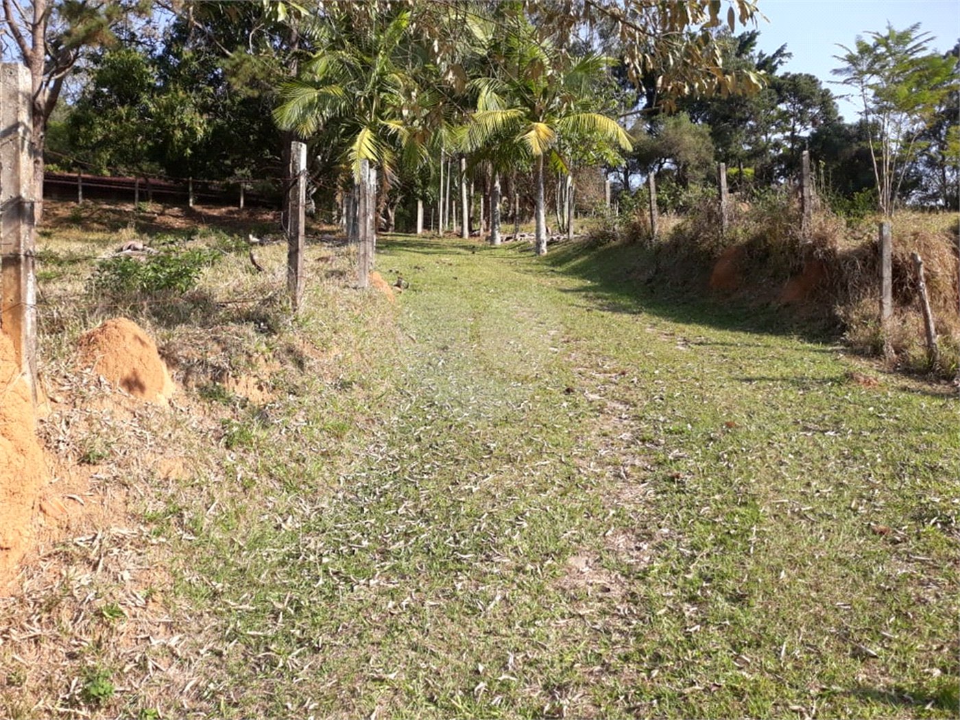 Sítio à venda com 3 quartos em Bairro do Cambará, São Roque, SP