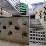 Sobrado à venda com 3 suítes em Vila Mariza Mazzei, São Paulo, SP