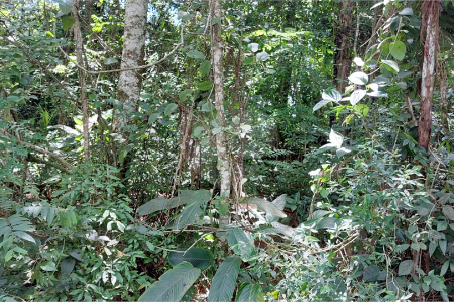 Terreno à venda no condomínio Sausalito, Mairiporã - SP