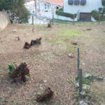 Terreno à venda em Jardim Meny, São Roque, SP