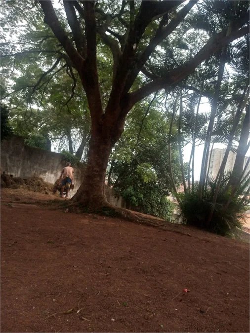 Terreno à venda em Jardim das Vertentes, São Paulo, SP