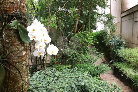 Apartamento à venda com 3 quartos, sendo 1 suíte, em Jardim Ampliação, São Paulo, SP