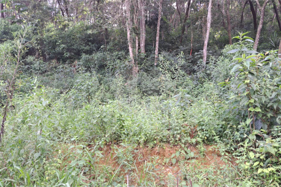 Terreno à venda em Serra da Cantareira, Mairiporã, SP