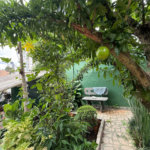 Casa à venda ou para alugar com 4 quartos, sendo 2 suítes, em Vila Mazzei, São Paulo, SP