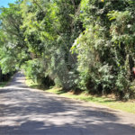 Terreno à venda no condomínio Associação Reserva das Hortênsias, Mairiporã - SP