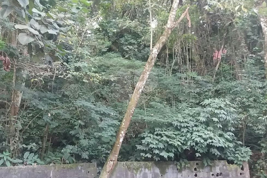 Terreno à venda em Tucuruvi, São Paulo, SP