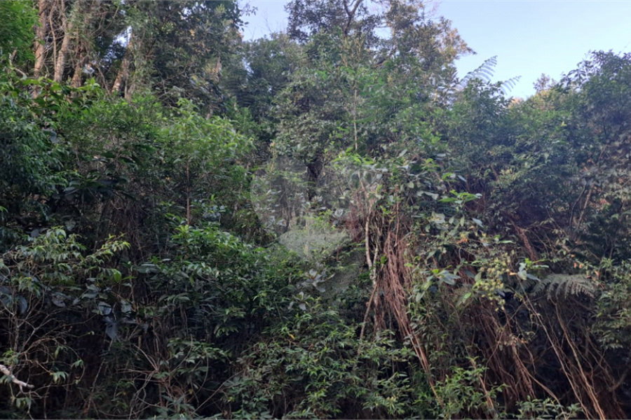 Terreno à venda no condomínio Associação Reserva das Hortênsias, Mairiporã - SP