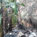 Sobrado à venda com 2 quartos em Jaçanã, São Paulo, SP