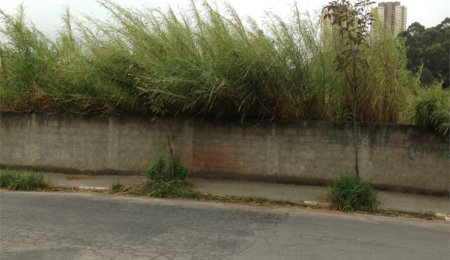 Terreno à venda em Jardim Ampliação, São Paulo, SP