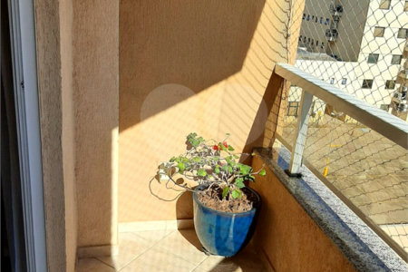 Apartamento à venda com 3 quartos, sendo 1 suíte, em Morumbi, Paulínia, SP