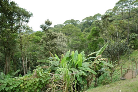 Terreno à venda em Rio Grande, São Bernardo do Campo, SP