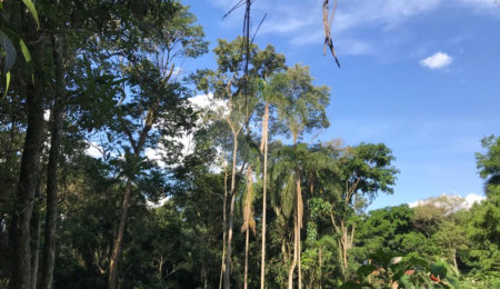 Terreno à venda em Serra da Cantareira, Mairiporã, SP