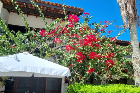 Casa à venda com 2 suítes em Marina, Armação dos Búzios, RJ