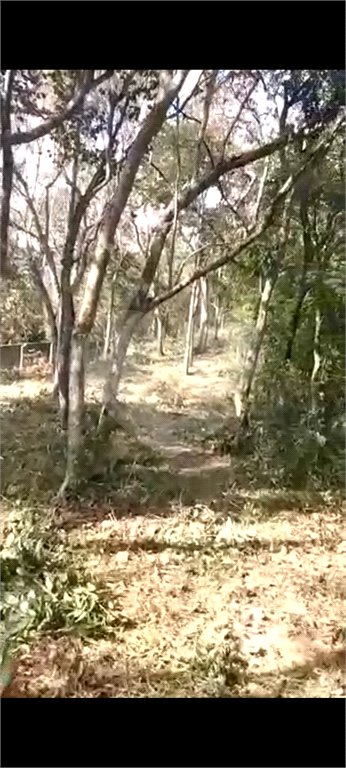 Terreno à venda em Luiz Fagundes, Mairiporã, SP