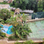 Apartamento à venda com 3 quartos, sendo 1 suíte, em Tremembé, São Paulo, SP