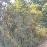 Terreno à venda em Luiz Fagundes, Mairiporã, SP