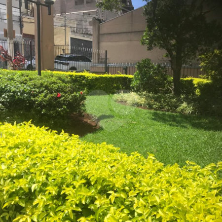 Apartamento à venda com 2 quartos em Vila Paulicéia, São Paulo, SP