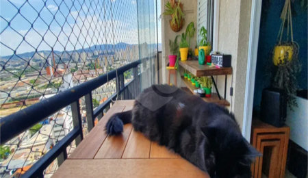 Apartamento à venda com 2 quartos, sendo 1 suíte, em Água Branca, São Paulo, SP