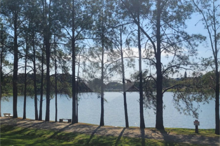 Terreno à venda no condomínio Acmti - Colinas do Mosteiro, Terras de Itaici e Recanto dos Pássaros, Indaiatuba - SP