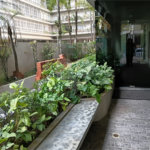 Apartamento à venda com 3 quartos, sendo 1 suíte,  em Higienópolis, São Paulo, SP