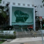 Apartamento à venda com 3 quartos, sendo 1 suíte, em Vila Progredior, São Paulo, SP