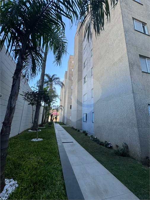 Apartamento para alugar com 1 quarto em Jardim do Triunfo, Guarulhos, SP