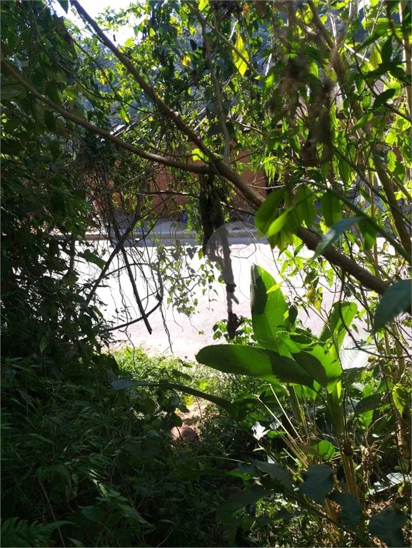 Terreno à venda em Tremembé, São Paulo, SP