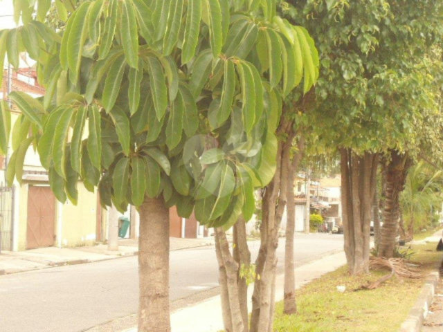 Terreno à venda em Vila Isolina Mazzei, São Paulo, SP