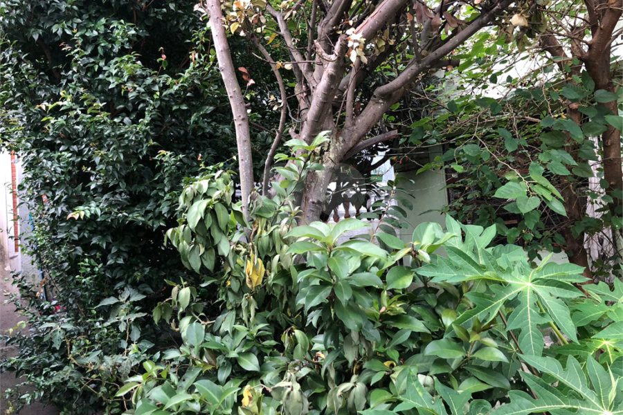 Casa à venda com 4 quartos em Vila Nova Cachoeirinha, São Paulo, SP