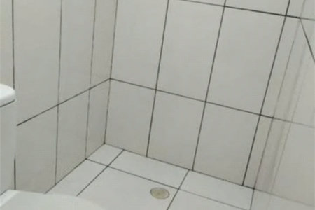Sobrado à venda com 6 quartos, sendo 2 suítes, em Instituto de Previdência, São Paulo, SP