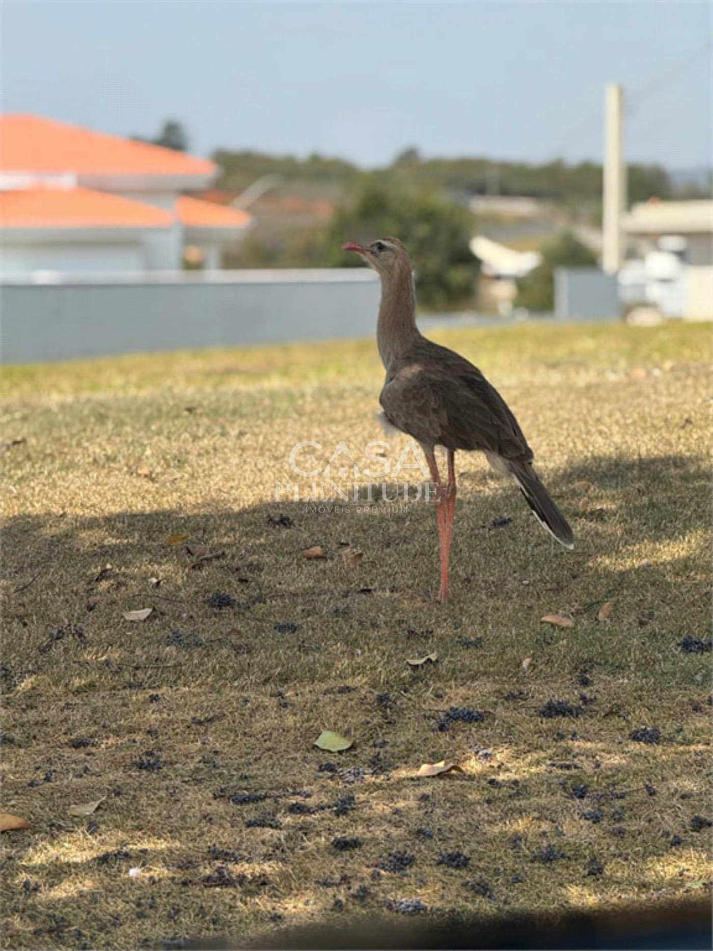 Terreno em condomínio à venda em Parque Ecoresidencial Fazenda Jequitibá, Sorocaba, SP
