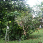 Casa à venda com 2 quartos, sendo 1 suíte, no condomínio Vinhas da Vista Alegre - Lado Sede, Vinhedo - SP