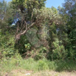Terreno à venda em Saboó, São Roque, SP