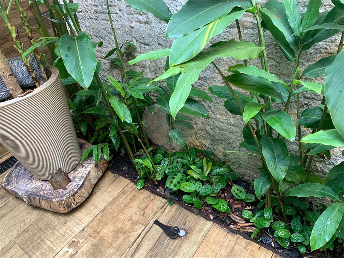 Sobrado à venda com 2 suítes em Horto, São Paulo, SP
